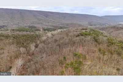 11.53 Ac W Tenacious Drive, Romney, WV 26757 - Photo 11