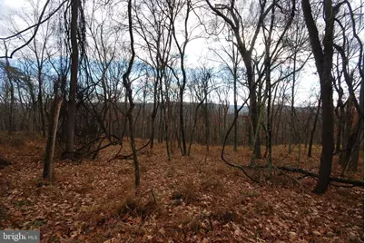 Lot 70 & 71 Mill Mountain Road, Romney, WV 26757 - Photo 15