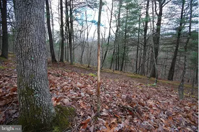 Lot 70 & 71 Mill Mountain Road, Romney, WV 26757 - Photo 25