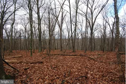 Lot 70 & 71 Mill Mountain Road, Romney, WV 26757 - Photo 21