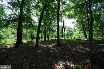 Lot 70 & 71 Mill Mountain Road, Romney, WV 26757 - Photo 9