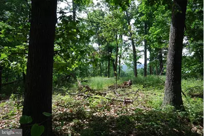 Lot 70 & 71 Mill Mountain Road, Romney, WV 26757 - Photo 7