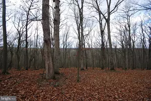 Lot 70 & 71 Mill Mountain Rd, Romney, WV 26757 - Photo 1