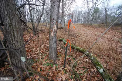 Lot 70 & 71 Mill Mountain Road, Romney, WV 26757 - Photo 19