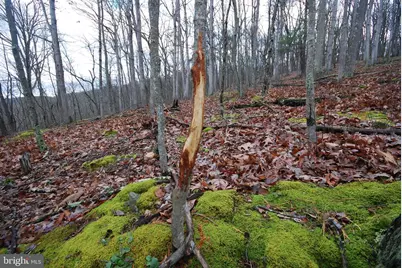 Lot 70 & 71 Mill Mountain Road, Romney, WV 26757 - Photo 41