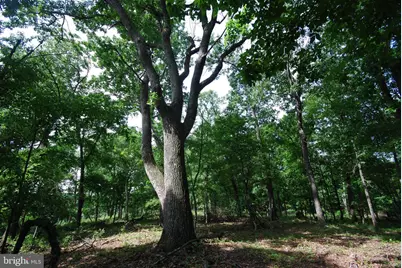Lot 70 & 71 Mill Mountain Road, Romney, WV 26757 - Photo 1