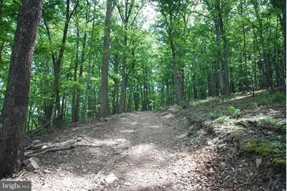 Lot 70 & 71 Mill Mountain Road, Romney, WV 26757 - Photo 13