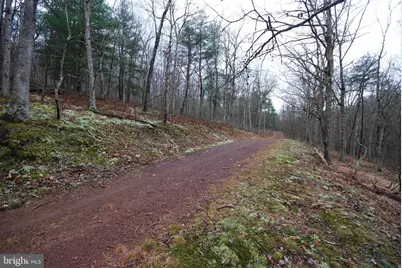 Lot 70 & 71 Mill Mountain Road, Romney, WV 26757 - Photo 27