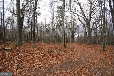 Lot 70 & 71 Mill Mountain Road, Romney, WV 26757 - Photo 27