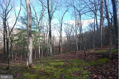 Lot 70 & 71 Mill Mountain Road, Romney, WV 26757 - Photo 5