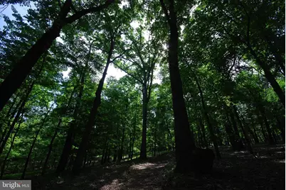 Lot 70 & 71 Mill Mountain Road, Romney, WV 26757 - Photo 5