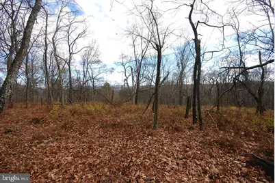 Lot 70 & 71 Mill Mountain Road, Romney, WV 26757 - Photo 13