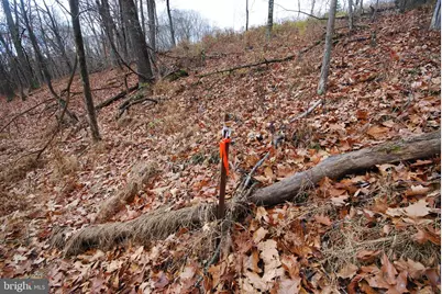 Lot 70 & 71 Mill Mountain Road, Romney, WV 26757 - Photo 31