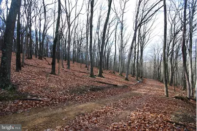 Lot 70 & 71 Mill Mountain Road, Romney, WV 26757 - Photo 9