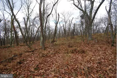 Lot 70 & 71 Mill Mountain Road, Romney, WV 26757 - Photo 35