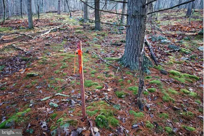 Lot 70 & 71 Mill Mountain Road, Romney, WV 26757 - Photo 19