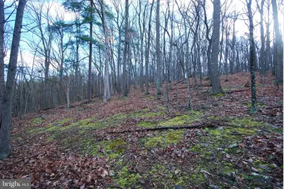 Lot 70 & 71 Mill Mountain Road, Romney, WV 26757 - Photo 21