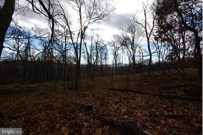 Lot 70 & 71 Mill Mountain Road, Romney, WV 26757 - Photo 29
