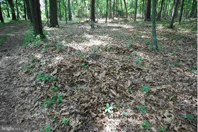 Lot 70 & 71 Mill Mountain Road, Romney, WV 26757 - Photo 3