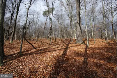 Lot 70 & 71 Mill Mountain Road, Romney, WV 26757 - Photo 33
