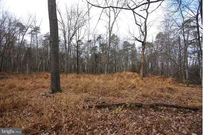 Lot 70 & 71 Mill Mountain Road, Romney, WV 26757 - Photo 21