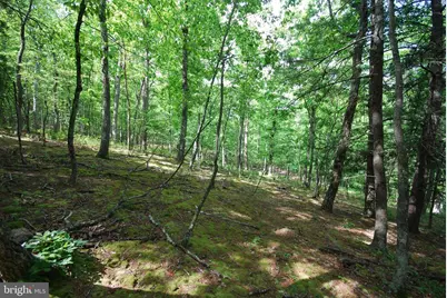 Lot 70 & 71 Mill Mountain Road, Romney, WV 26757 - Photo 11