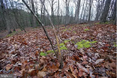 Lot 70 & 71 Mill Mountain Road, Romney, WV 26757 - Photo 39