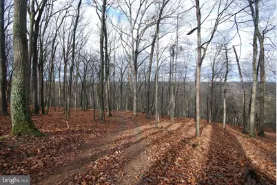 Lot 70 & 71 Mill Mountain Road, Romney, WV 26757 - Photo 25