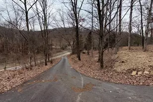 97 Stormy Ln, Springfield, WV 26763 - Photo 9