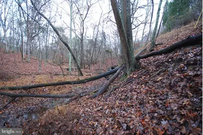 Lot 29 & 30 Staubwoods Drive, Romney, WV 26757 - Photo 11