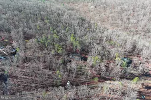 600 Buck Run Rd, Delray, WV 26714 - Photo 45