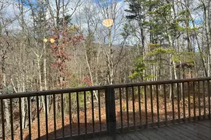 600 Buck Run Rd, Delray, WV 26714 - Photo 43