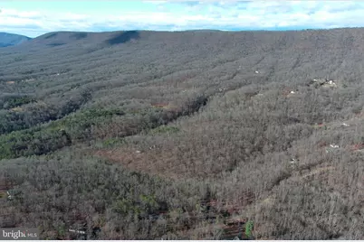 600 Buck Run Road, Delray, WV 26714 - Photo 49