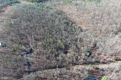 600 Buck Run Road, Delray, WV 26714 - Photo 47