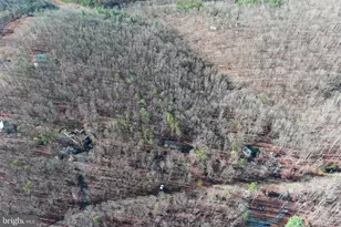 600 Buck Run Rd, Delray, WV 26714 - Photo 47