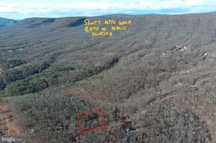 600 Buck Run Rd, Delray, WV 26714 - Photo 5