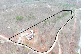 220 Bird Ridge Rd, Springfield, WV 26763 - Photo 31