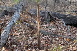 Babbling Brook Ln, Romney, WV 26757 - Photo 1