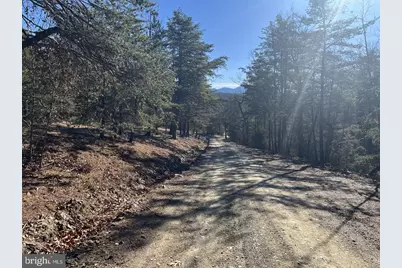 60 Angle Drive, Purgitsville, WV 26852 - Photo 67