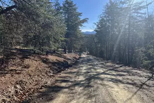 60 Angle Dr, Purgitsville, WV 26852 - Photo 67