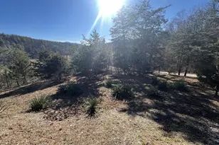 60 Angle Dr, Purgitsville, WV 26852 - Photo 7