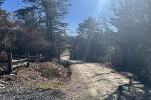 60 Angle Dr, Purgitsville, WV 26852 - Photo 63