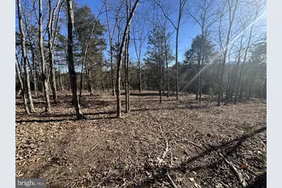 60 Angle Drive, Purgitsville, WV 26852 - Photo 75