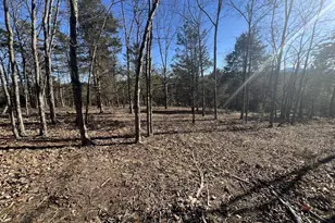 60 Angle Dr, Purgitsville, WV 26852 - Photo 75