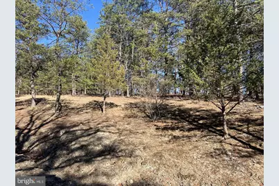 60 Angle Drive, Purgitsville, WV 26852 - Photo 65