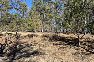 60 Angle Dr, Purgitsville, WV 26852 - Photo 65