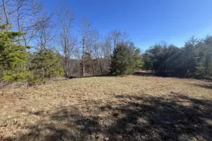 60 Angle Dr, Purgitsville, WV 26852 - Photo 69