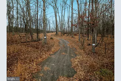 0 Whispering Pines Rd., Slanesville, WV 25444 - Photo 3