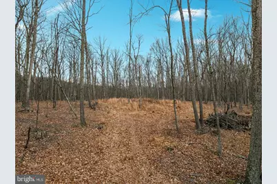 0 Whispering Pines Rd., Slanesville, WV 25444 - Photo 5