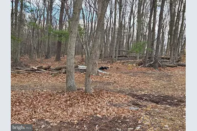 Lot 37 Sherman Drive, Augusta, WV 26704 - Photo 15